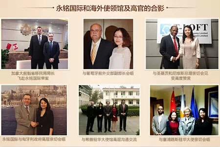 合影 永銘國際被評為2014年度“華南地區(qū)優(yōu)秀移民留學(xué)顧問機(jī)構(gòu)”